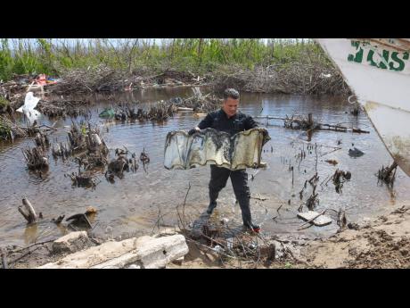 Matthew Samuda, minister of water, environment and climate change removes debris from a mangrove ecosystem in Parottee, St. Elizabeth, during clean-up activity marking World Wetlands Day on February 2. 