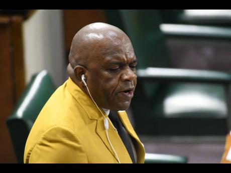 Opposition Spokesman on Housing and Sustainable Living Senator Professor Floyd Morris.