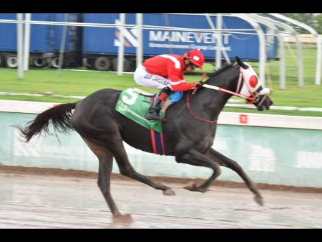 SUPERNATURAL POWER, ridden by Dick Cardenas, wins the Viceroy Trophy over a mile at Caymanas Park on October 20, 2025. 