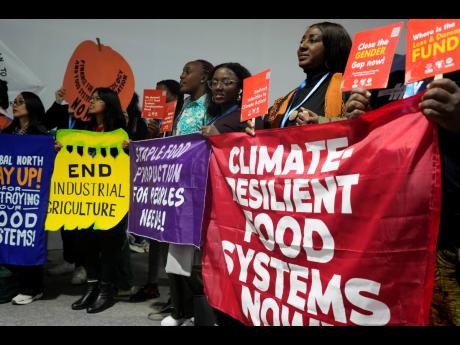 Activists participate in a demonstration for transforming food systems at the COP29 UN Climate Summit, Tuesday, November 19, 2024, in Baku, Azerbaijan. 