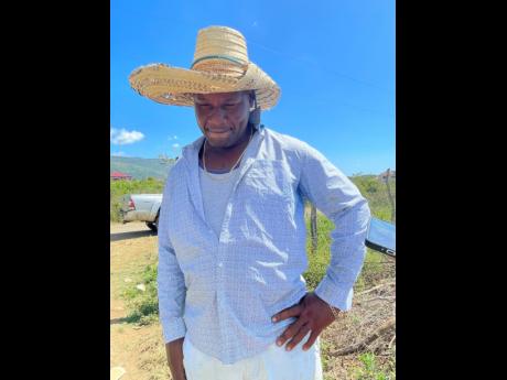 
Andre Dyer, onion farmer in Mountainside, St. Elizabeth.