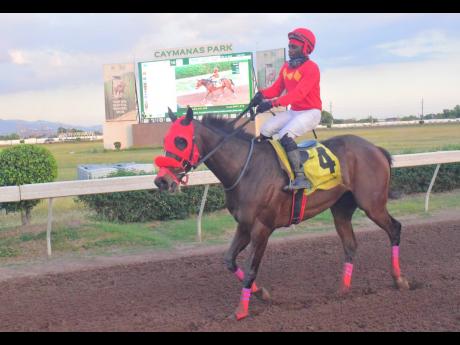 Credit: Anthony Minott/Freelance Photographer WALL STREET TRADER, ridden by Christopher Mamdeen, wins the Ash Wednesday Trophy, an Overnight Allowance Stakes at Caymanas Park on February 18.