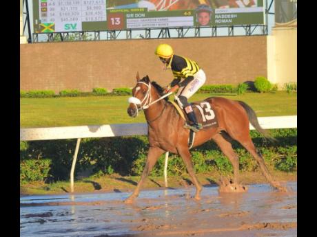 Credit: Anthony Minott/Freelance Photographer SIR DON, with Raddesh Roman in the saddle, returns to the winners’ enclosuure after capturing the 17th running of the King’s Plate at Caymanas Park yesterday.