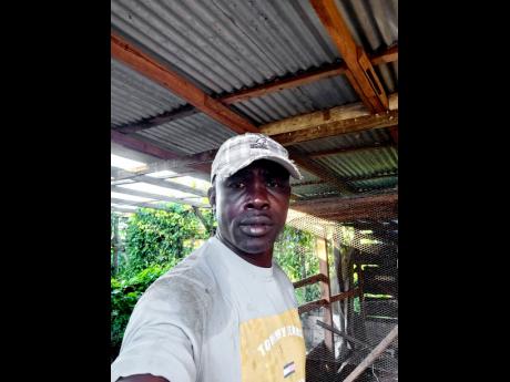 Farmer and president of the Bog Hole branch of the Jamaica Agricultural Society, Leroy Reid.
