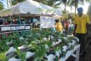 
Patrons view a vertical hydroponics system for backyard gardening at the 2019 Montpelier Agriculture Show.
